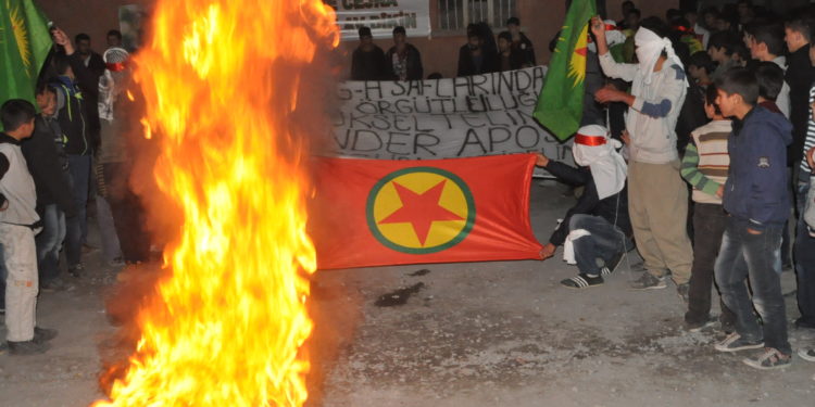 Demokratik Ulus Ve Gençlik – II