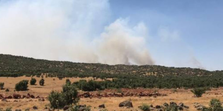 YENİLENDİ- Bagok’taki yangını köylüler söndürdü