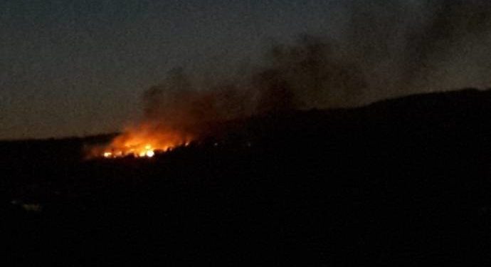 Lice’de orman yangını