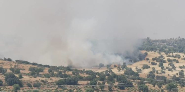 Kurdistan doğasına yönelik saldırılar devam ediyor!