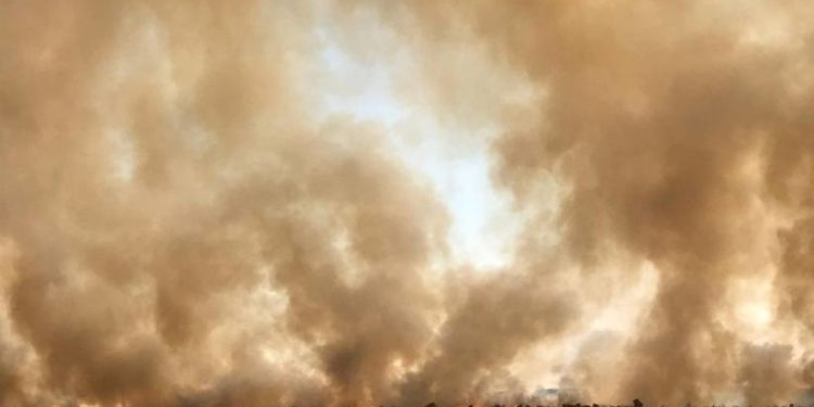 Bagok dağındaki yangın halen söndürülmedi!