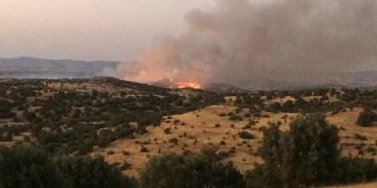 İşgalci asker ve işbirlikçi korucu yangınları sadece izliyor!