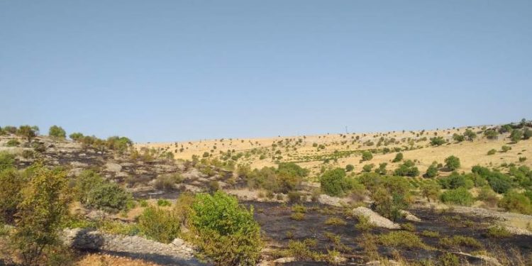 Mêrdin bayramı yangın ile karşıladı