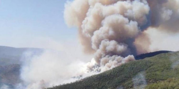 İzmir ve Muğla’da yangınlar