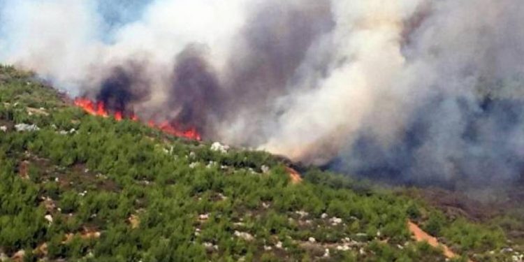 İzmir ve Muğla’da yangınlar
