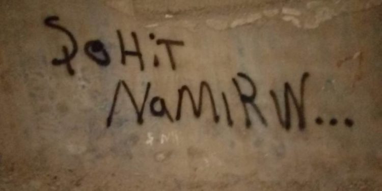 HDP Silopiya Gençlik Meclisinden duvar yazılama eylemi