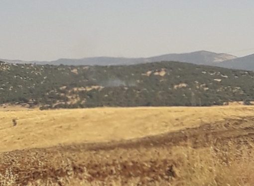 İşgalci Türk devletinin Lice korkusu