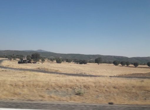 İşgalci Türk devletinin Lice korkusu