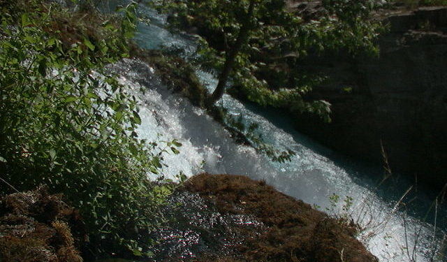 Kendi hayatını başlatmak
