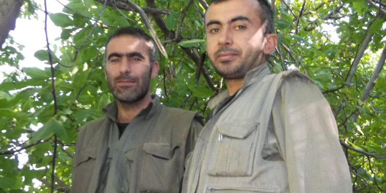 Dünya Gerillanın Ayağının Altında Patikadır…