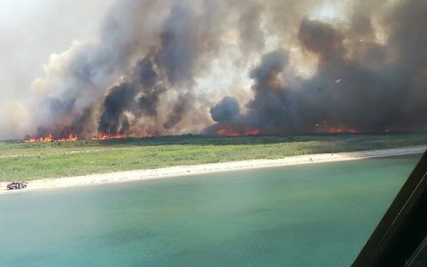 Edremit’te büyük yangın!