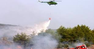 İzmir ve Muğla’da yangınlar