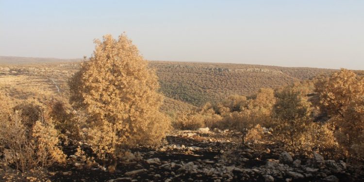 Omeryan’da işgalci Türk askerlerinden tehdit: Gitmezseniz başınıza her şey gelebilir