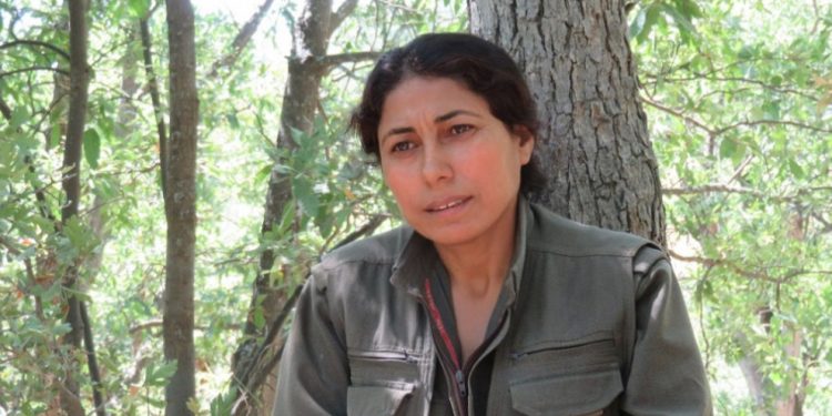 Koçerîn Amed: Eşbaşakanlık sistemine saldırması, tekçi erkek egemenlikli zihniyettendir