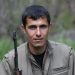 HPG, Wan’da şehit düşen gerillanın kimliğini açıkladı