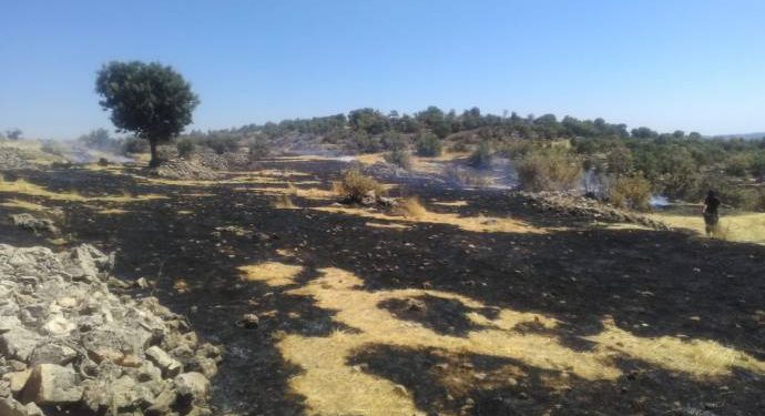 İşgalci Pöh şube müdürünün öldürüldüğü bölgede orman yangını!