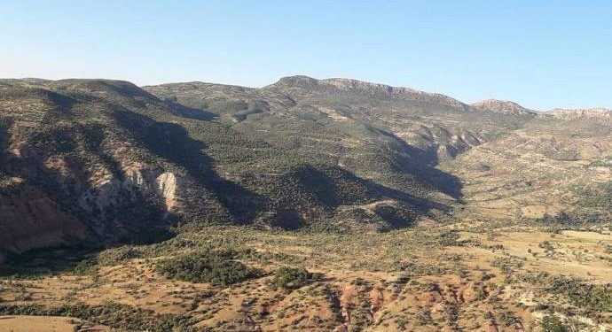 Kerboran’da orman kesmeyi reddeden yurttaşlar darp edildi!