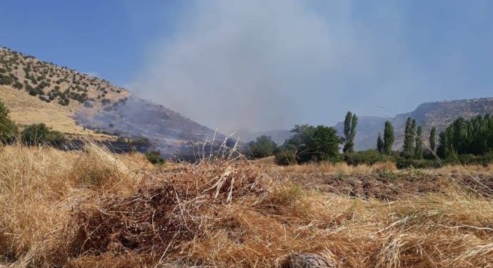 Omeryan’da ormanlar yanmaya devam ediyor