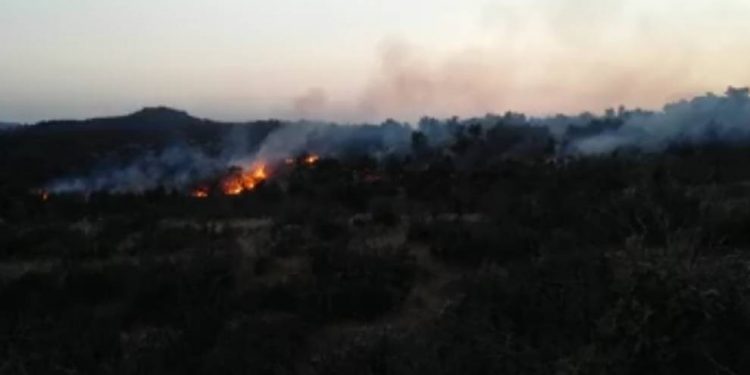 Pasur’da işgalci Türk askeri ormanı ateşe verdi