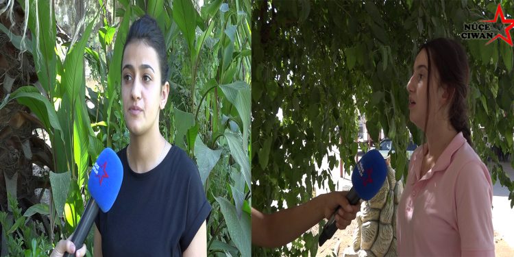 ‘Küçük yaşta evlilik çocukların hayalinin çalınmasıdır’