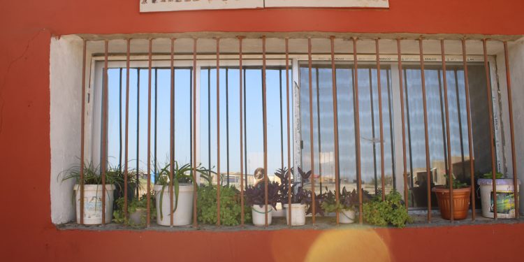 İZLENİM- JİNWAR Dünya Kadınlarına Umut Saçıyor