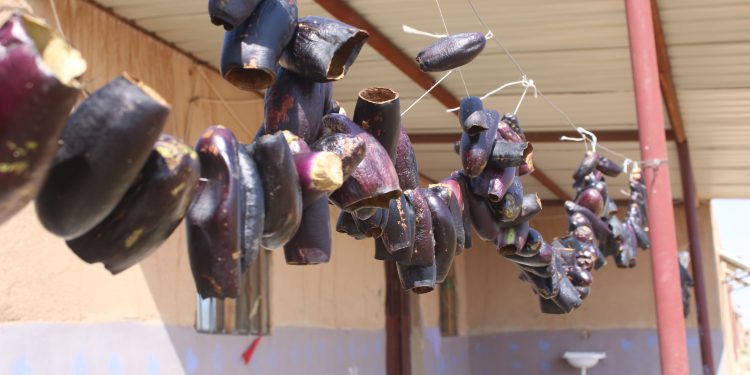 İZLENİM- JİNWAR Dünya Kadınlarına Umut Saçıyor