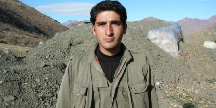 Yolların ve Yılların Kılavuzu