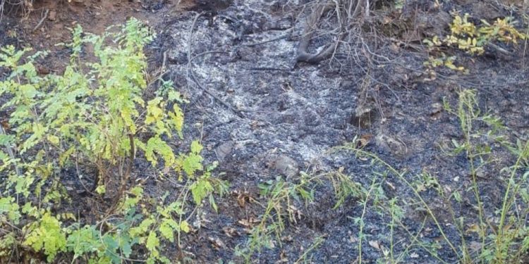 İşgalci Türk askerinin çıkardığı yangın 3 gündür devam ediyor!