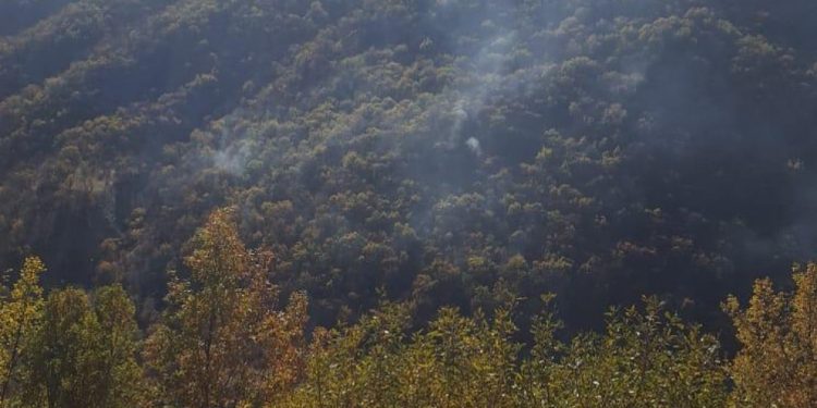 İşgalci Türk askerinin çıkardığı yangın 3 gündür devam ediyor!