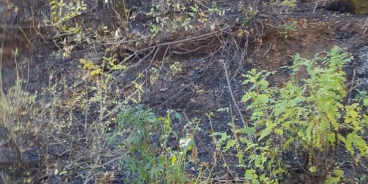 İşgalci Türk askerinin çıkardığı yangın 3 gündür devam ediyor!