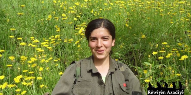 Şirnex Direnişi – Ölümsüz komutan, Zeryan’ın kaleminden: Bu yiğitleri kim anlatacak? – VIII