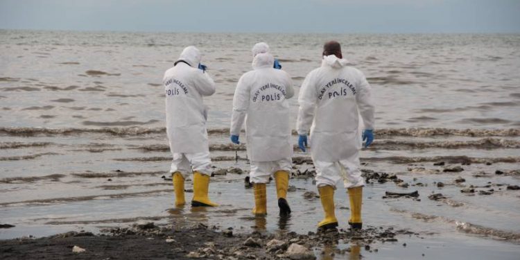 Wan Gölü’nde çok sayıda kafatası ve kemik bulundu