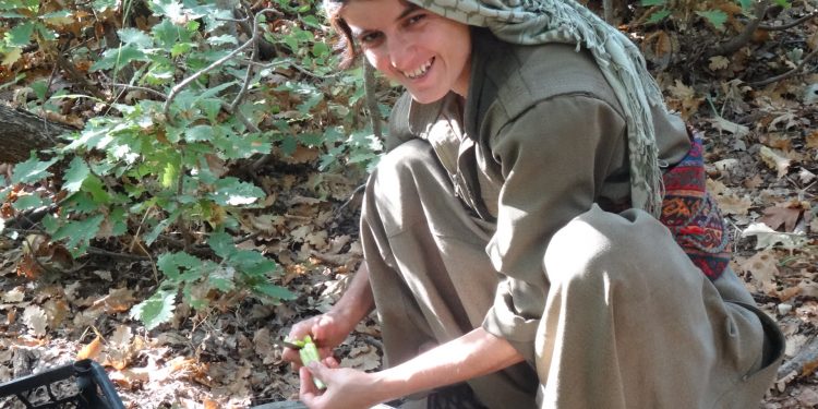 HPG gerillası Tolhildan’ın ailesine 3 parçalanmış cenaze gösterildi