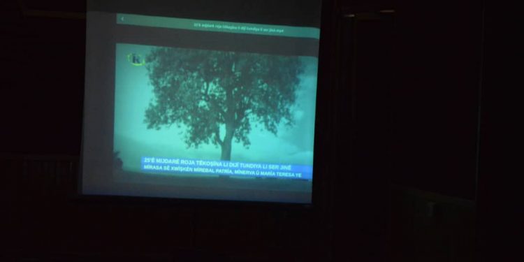 Yekîtiya Jinên Ciwan, 25 Kasım ve 10 Aralık konulu seminer gerçekleştirdi