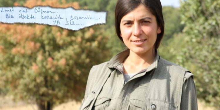 Şirnex Direnişi – Ölümsüz komutan, Zeryan’ın kaleminden: Dağlar onurdur-V