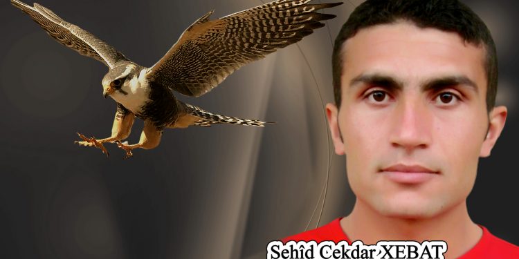 “Yapacağım eylem hepimizin eylemidir Yoldaşlarım”