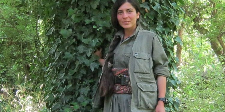 Şirnex Direnişi – Ölümsüz komutan, Zeryan’ın kaleminden: Direniş başlıyor-IV