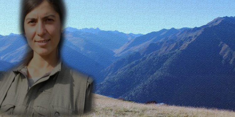 Şirnex Direnişi – Ölümsüz komutan, Zeryan’ın kaleminden: İntikam Yemini-XIV