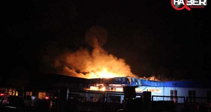 FLAŞ – Ateşin Çocukları İnisiyatifinden bir aylık eylem bilançosu