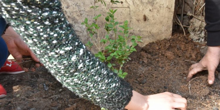 Başûrê Kurdistanlı gençler 4 Nisan’ı coşku ile kutladı