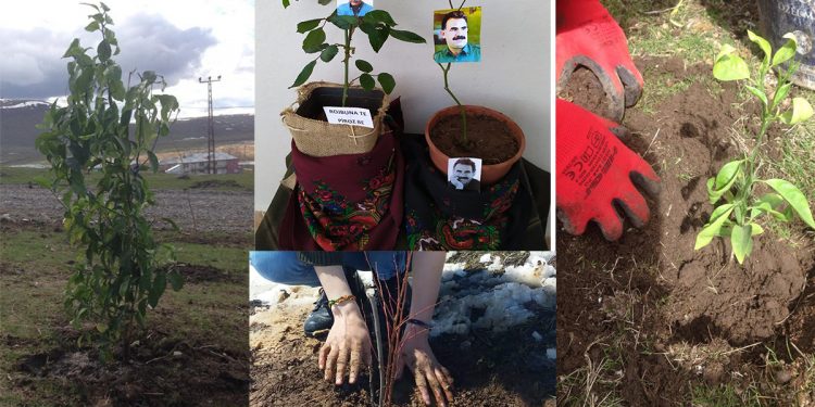 Genç kadınlar fidan dikerek 4 Nisan’ı kutladı