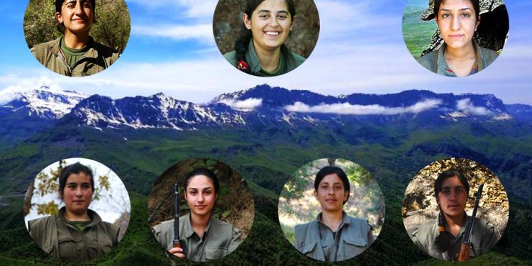 Qendîl’de yeşeren kardelenler