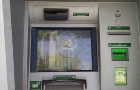 SON DAKİKA – Ateşin Çocukları İnisiyatifinden 4 kentte eylem – YENİLENDİ