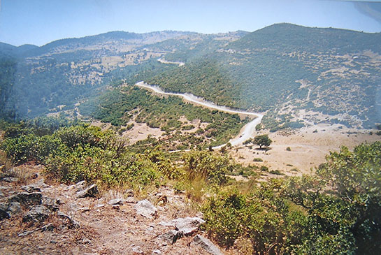 Kapitalizmin doğa düşmanlığı Madra Dağı’nda