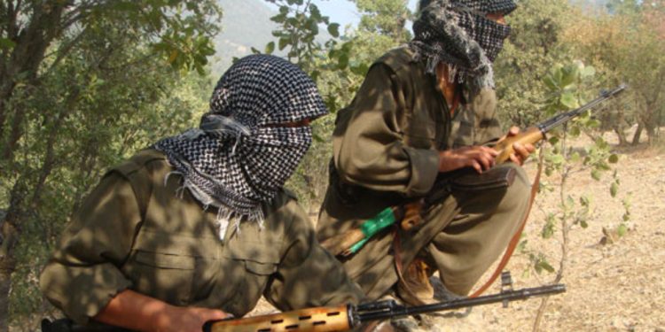 SON DAKİKA – Gerilla Heftanin’den Dersim’e kadar işgalcileri vurdu: 12 asker öldürüldü