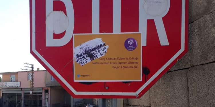 Genç Kadın Meclisi’nden afişleme eylemi