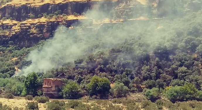 İşgalci asker ve koruculardan Elo Dino’da pusulama faaliyeti!