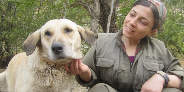 Şehit Dicle’nin kaleminden: Ben savaşı ve kendimi Botan’da tanıdım