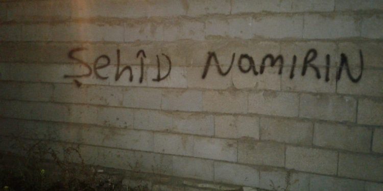 Wan’da şehit Kasım Engin anısına yazılama çalışması