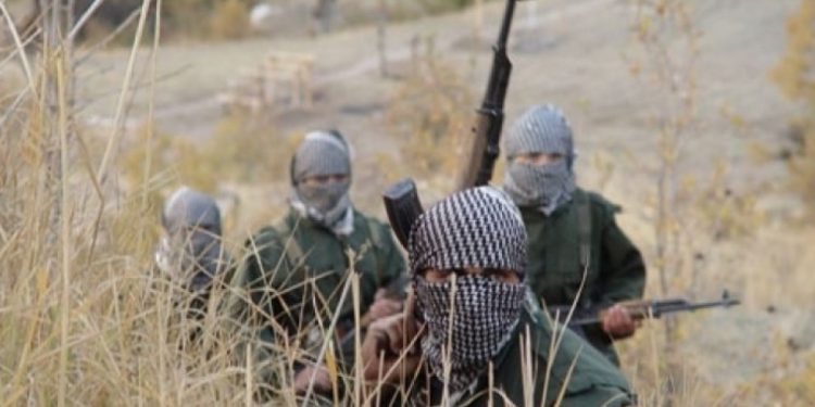 SON DAKİKA – Gerillalar Wan’da bir kontrayı cezalandırdı